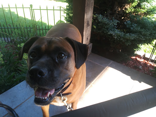 Bollinger County Veterinary - Thumbnail