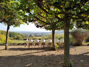 Photo n°3 de Château du Thil à Chenôves (Maison d'hôtes)