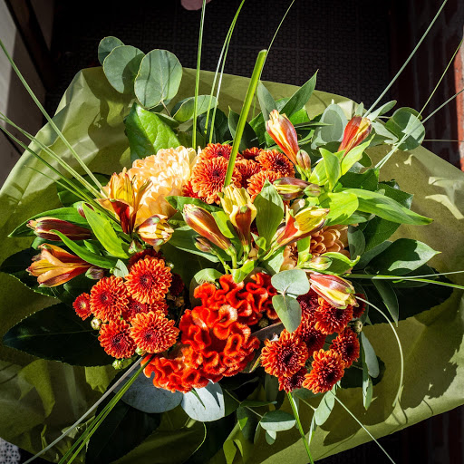 Flowers by Anny - Thumbnail
