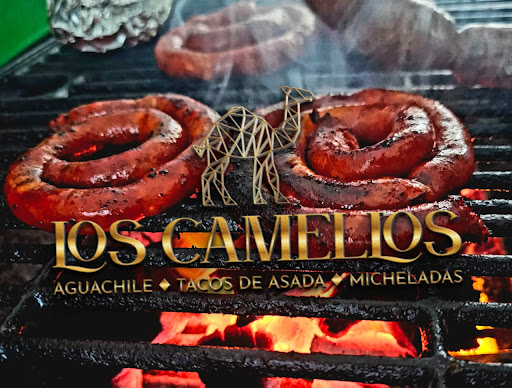 Los Camellos Aguchiles y Mas... - Thumbnail