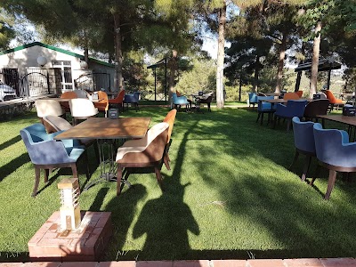 Photos of La Foresta Cafe