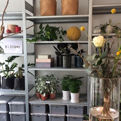 Photos of Bloom K ApS
