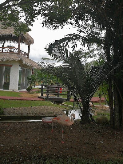 Photos of Los Tajibos