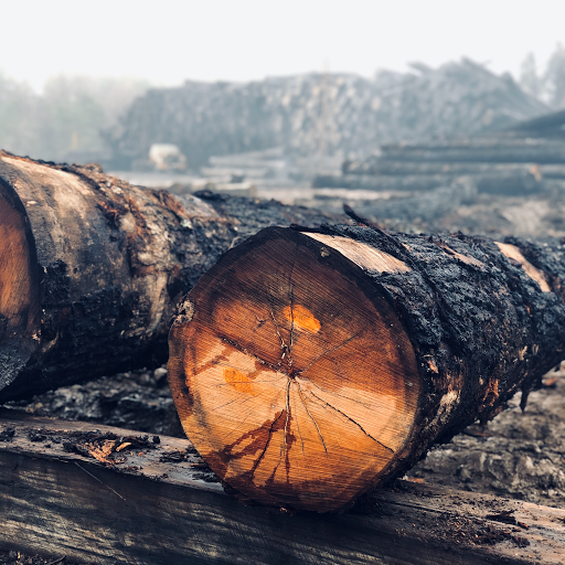 The Historic Phillips Forest Products Sawmill - The oldest family owned sawmill in Texas - Thumbnail
