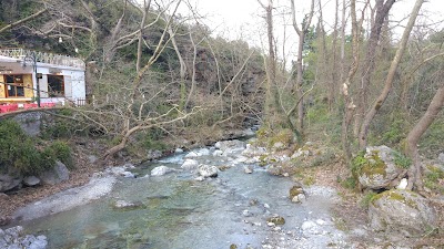 photo of Ντίσκο Ρωμέικο