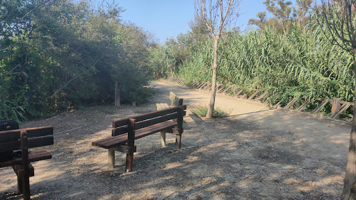 Ruta Via Buda
