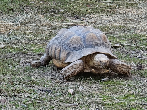 Tropical Zoo Gallery - France