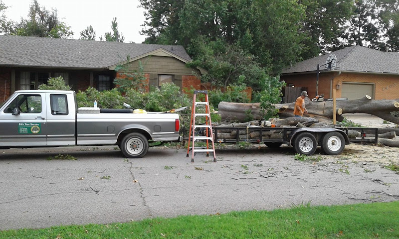 Ed's Tree Service