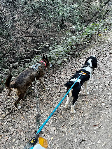 Green belt Trails