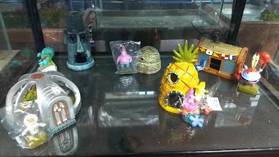 Photos of Aquarius Hobby
