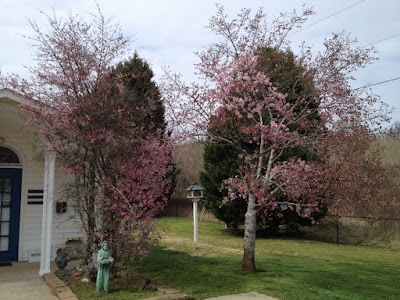 Hickory Flat Animal Hospital