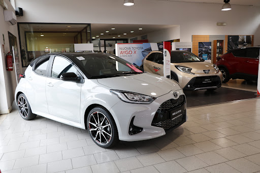 Toyota Motor City Pomezia - Thumbnail