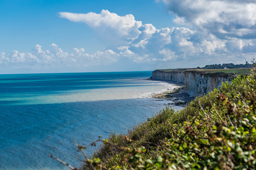Arthurimmo.com Victoria Real Estate - Dieppe - Thumbnail