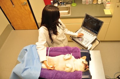 Photos of Animal Specialty Hospital of Florida