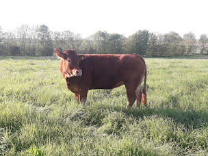 Photo n°3 de La Ferme des Coutures à Thairé (Éleveur)