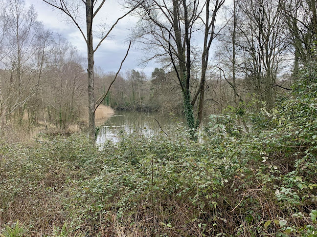 Swanwick Lakes Nature Reserve Phone number