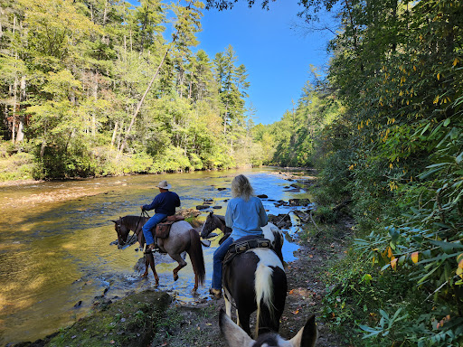 Whetstone Horse Campground Gallery - United States