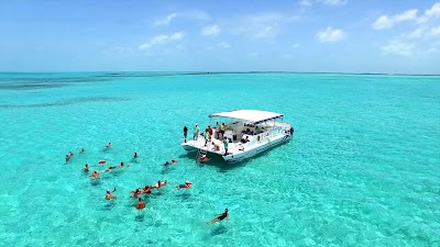 Photos of Island Dream Tours (YOLO)