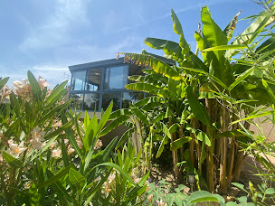 Photo n°16 de Harmonie & Son - Krystell Sonothérapeute à Saint-Paul-en-Pareds (Centre de bien-être)