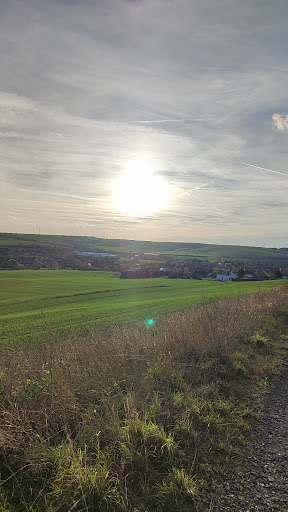 Salziger See Gallery - Germany