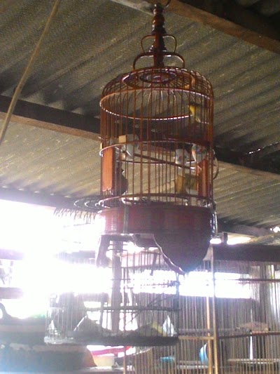 Photos of Hotel Chitra