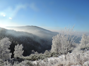 Photo n°12 de Auberge La Sapinière à Goldbach-Altenbach (Chambre d'hôtes)