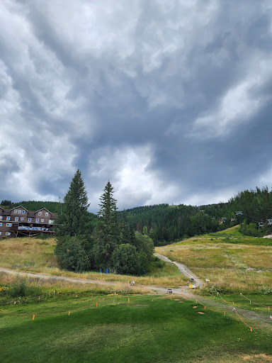 Alpine Slide - Thumbnail