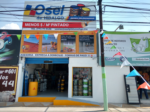 Pinturas Osel de Hidalgo