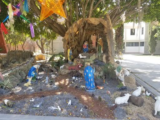 Seminario Pontificio de la Santa Cruz de Oaxaca Gallery - Mexico