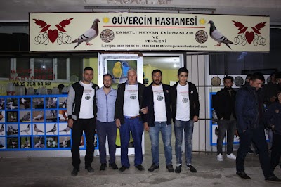 Güvercin hastanesi ( kanatlı hayvan yem ekipman ve ilaçları)