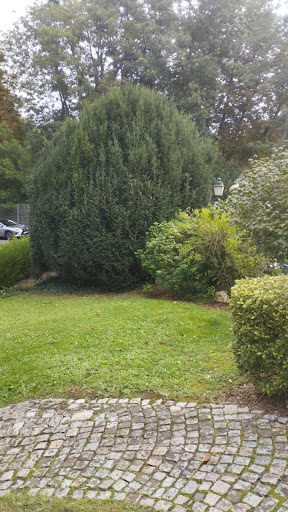Photo de A.D Paysage & Service à Lormes (58140)