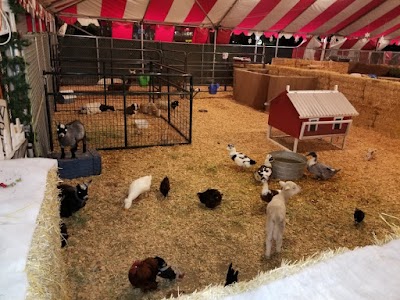 Petting Barn - Fort Worth Zoo