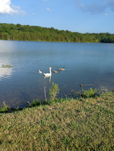 Binder Park - Visual