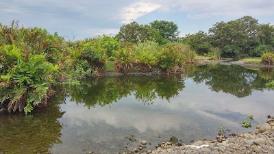 Photos of Warung Galian C Klungkung