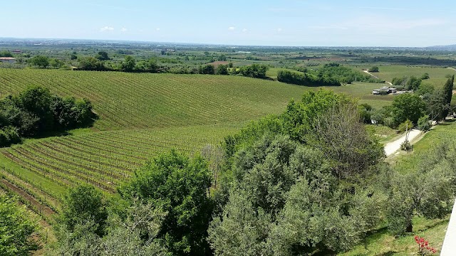 azienda agricola biologica Marco Carpineti