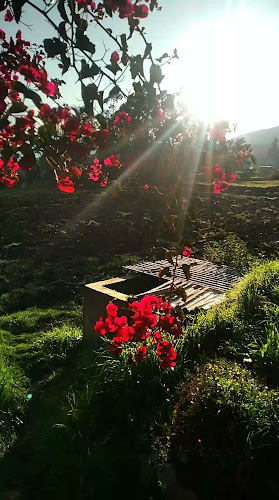 Opinii despre PARQUE DE SHUYO în Huaylas - Museo