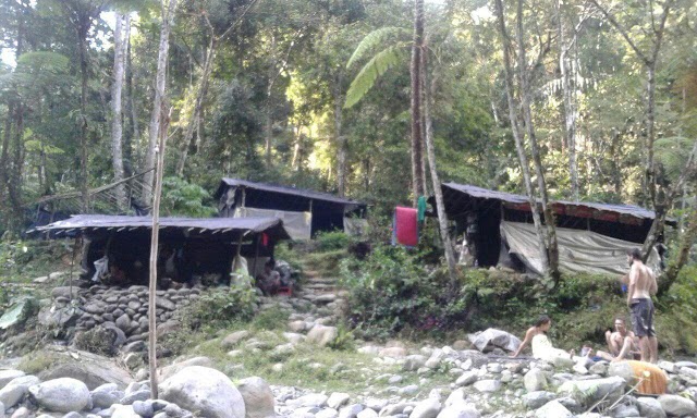 Bukit Lawang-Jungle Trekking