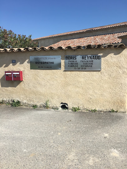 BARNASSON Violaine Ostéopathe