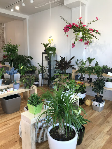 Plantes & Fleurs - Thumbnail