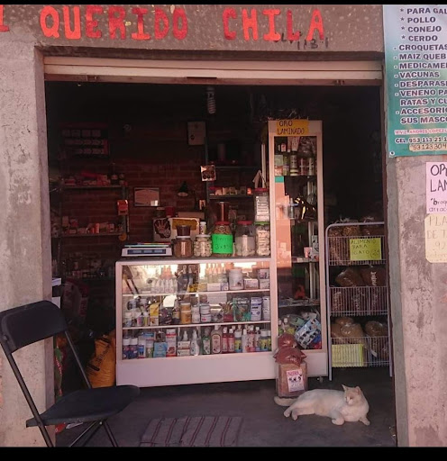 Veterinaria Mi Querido Chila