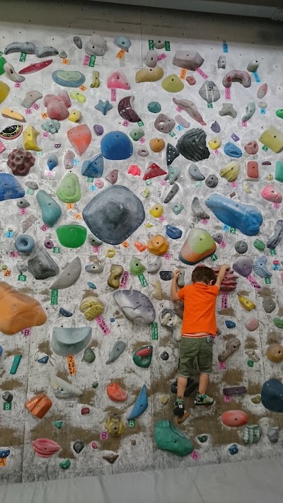 Photos of T Wall Climbing Gym