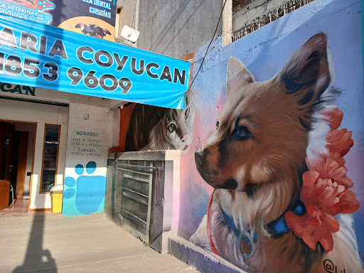 Clinica Veterinaria Coyucan