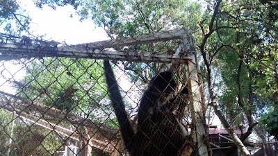 Photos of Parque animales san miguelito