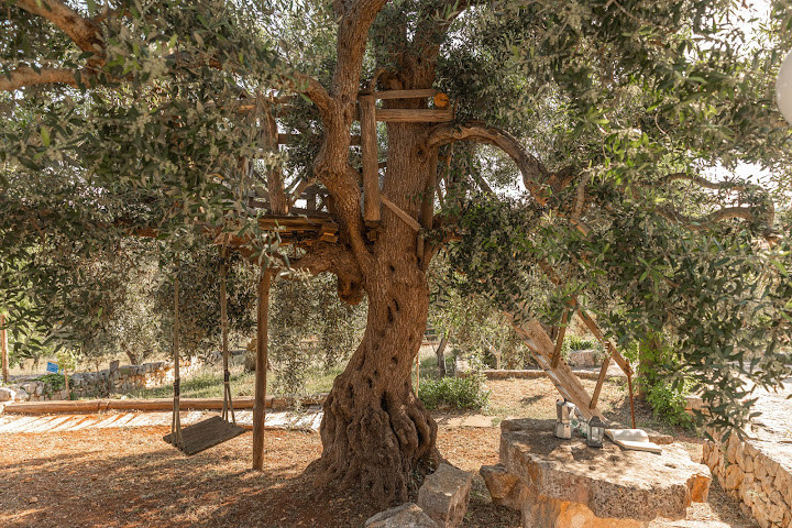 I Sette Coni by null