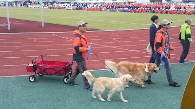 Photos of 평창공설운동장