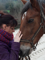 Christèle Baudin-Cesson77-Praticienne énergétique et chamanique-Coach en développement spirituel à Cesson