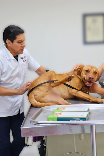 Centro Médico Veterinario Mundo Animal