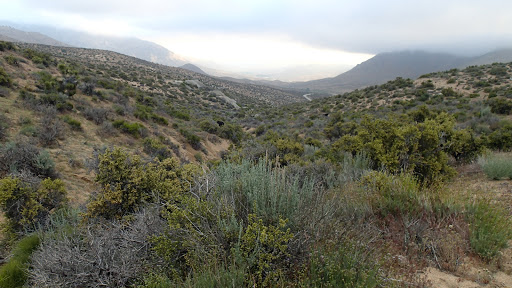 Walker Pass Campground - Thumbnail