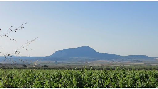 BODEGAS CASTAÑO