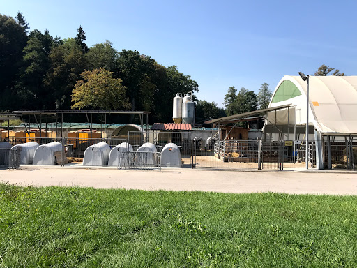 Bayerische Staatsgüter - Versuchs- und Bildungszentrum Rinderfütterung - Staatsgut Achselschwang - Thumbnail